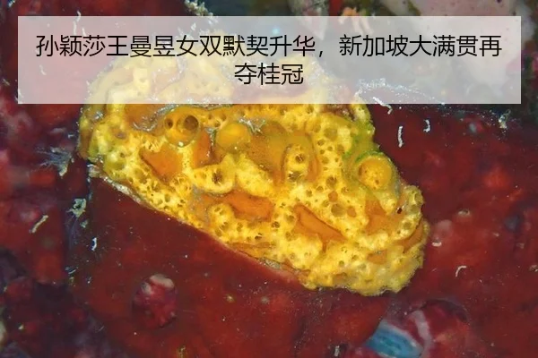 sun-ying-sha-wang-man-yu-nv-shuang-mo-qi-sheng-hua-xin-jia-po-da-man-guan-zai-duo-gui-guan-2-143.jpg